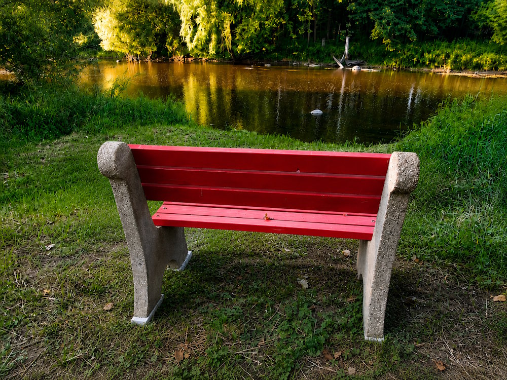 Peaceful bench beside the river at Riverwood Farm