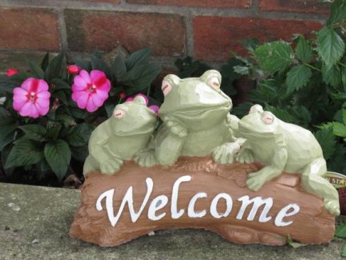 welcome frogs