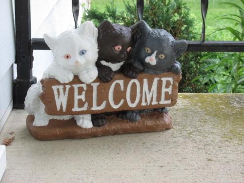 welcome kittens